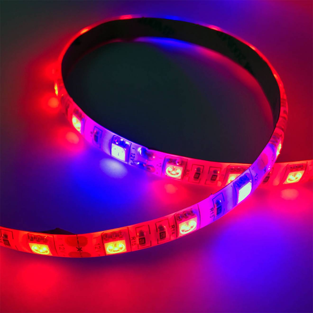 SOLAROX® Bande LED pour l'éclairage de la croissance des plantes PGL51-2 rouleau de 5m