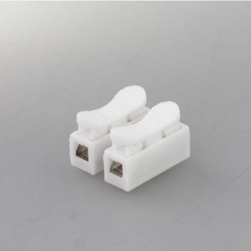 Borne de connexion avec mécanisme à ressort à 2-pôles